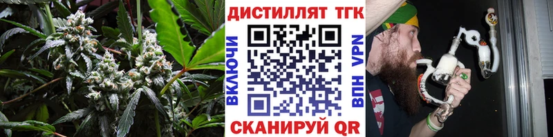 сколько стоит Рошаль ТГК гашишное масло