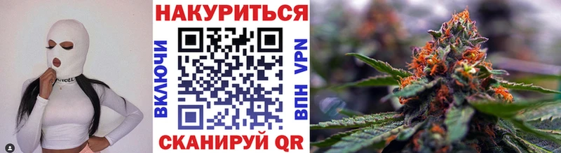 Конопля индика  Рошаль 